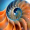 proElliottWave