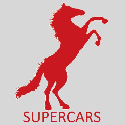 Supercars-minicab-service icon
