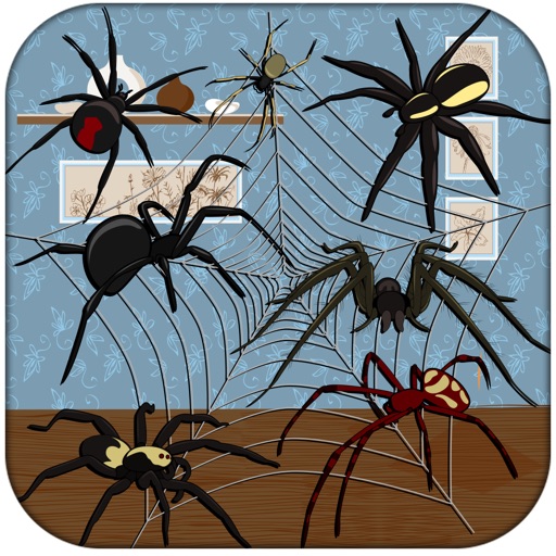 Attack and Smash the Spiders | A Popular Bug Biter Tapping Game FREE icon