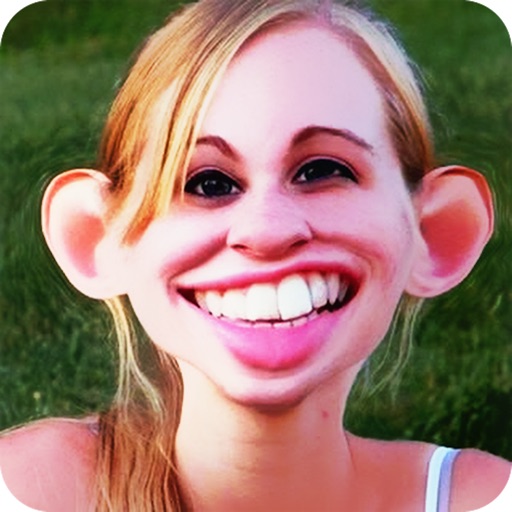 Funny Mirror HD iOS App