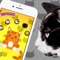 Cat Teaser Sounds is a fun app for cats and kittens