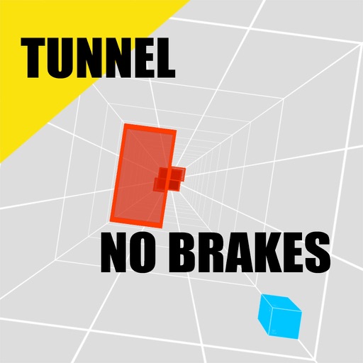 Into The Tunnel : NO BRAKES Icon
