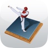 Taekwondo Bible - Poomsae and Terminology