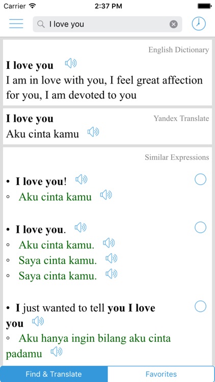 Indonesian Translator Offline screenshot-4