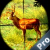 AdVenture Shooting Pro:The forest hunter in animal