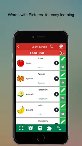 Game screenshot Learn Swahili SMART Guide apk