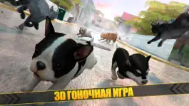 Game screenshot супер собака гонки игры | собаки животное игра 3д mod apk