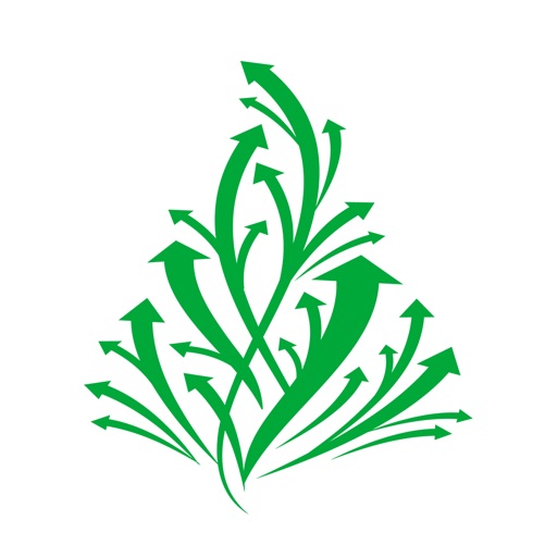 杉树公益 icon