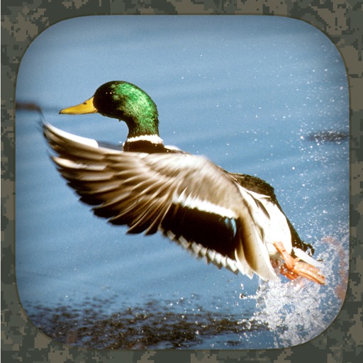 Duck Hunting Calls Icon