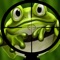 Angry Frog: Shoot Fast and collect flies