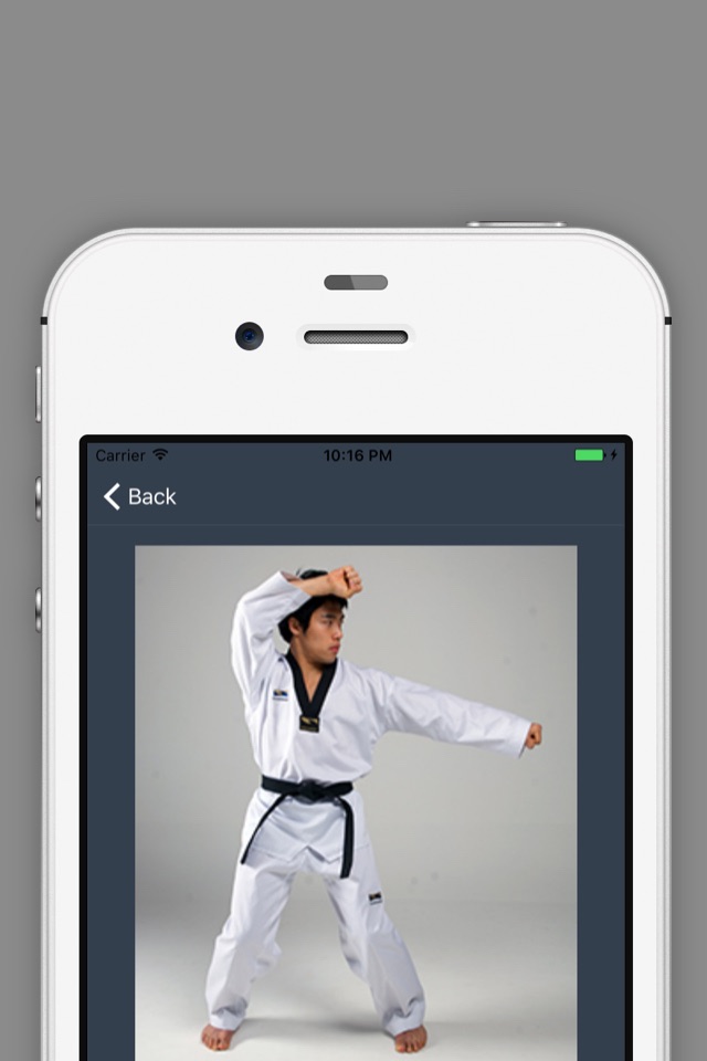 Taekwondo Bible - Poomsae and Terminology screenshot 3