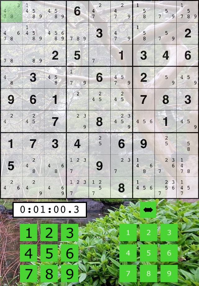 The Big Sudoku screenshot 4