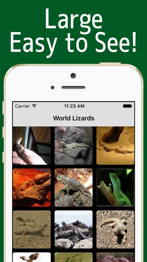 World Lizards!(圖2)-速報App