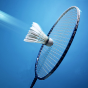 羽毛球技精练 - 羽毛球教学高清视频教学