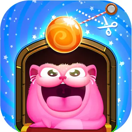 Miss Hollywood Fever: The Cat Adventure Funny Game Cheats