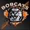 The North County Bobcat Wrestling Mobile app is for the students, families, coaches and fans of North County Bobcat Wrestling