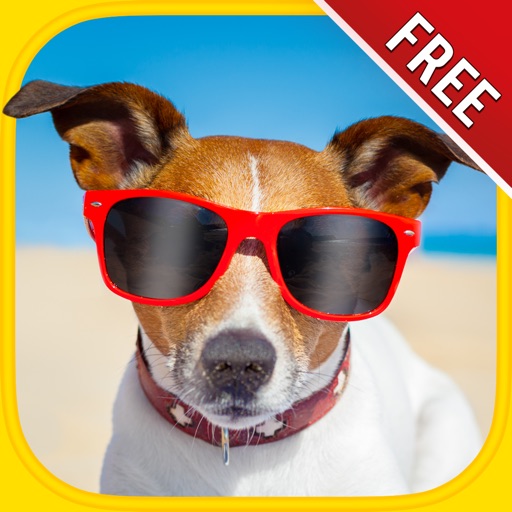 Funny Animals Puzzles : Logic Game for Kids, Free icon