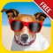 Funny Animals Puzzles : Logic Game for Kids, Free