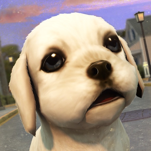 Dog Care Simulator: Save your Puppy from the Cars! Icon