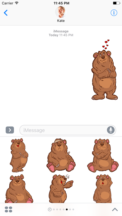 How to cancel & delete Big Bear - Stickers for iMessage from iphone & ipad 1