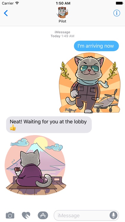 Kamikaze Cat