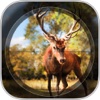 Contract Deer Hunter