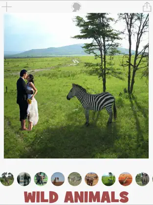 Imágen 5 Fotos para montaje con animales y paisajes iphone