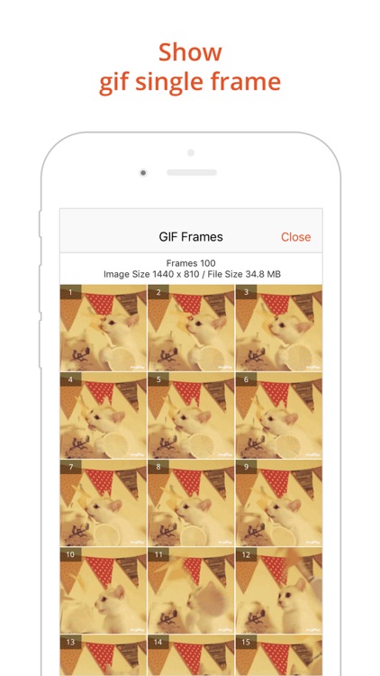 GIF Viewer Pro - Animated GIF Player Album screenshot-4