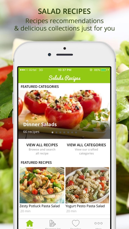 Premium Salad Recipes - cook and learn guide