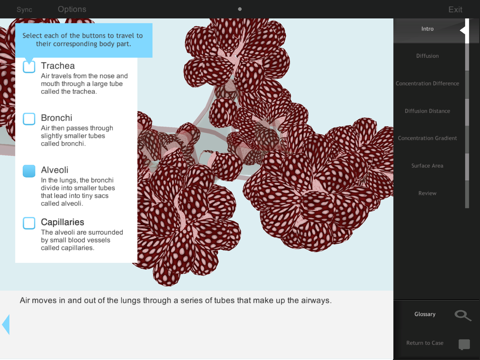 IC Diffusion screenshot 4