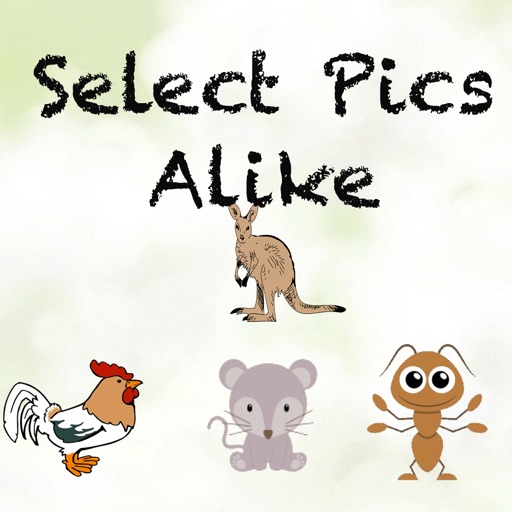 Select Pics Alike iOS App