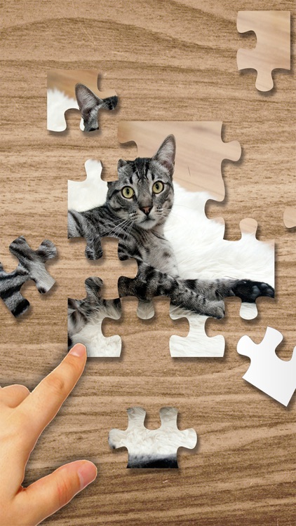 Slide Puzzle & Photos - Sliding Block Game