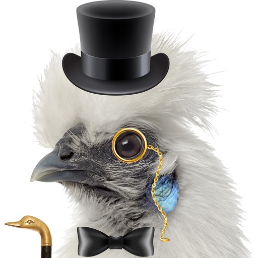 Fancy Birds icon