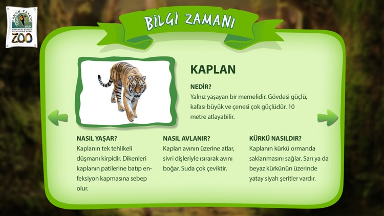 FyZoo Anatomy screenshot-4