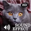 Amazing Epic Sounds Game HD