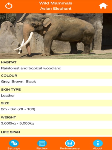 Wild Animals Quiz screenshot 3