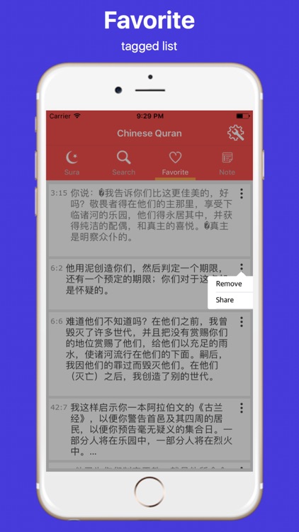 Chinese Quran and Easy Search