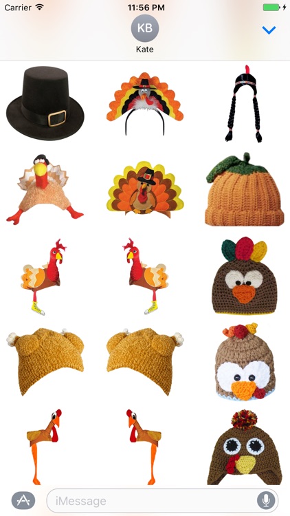 Thanksgiving Costumes