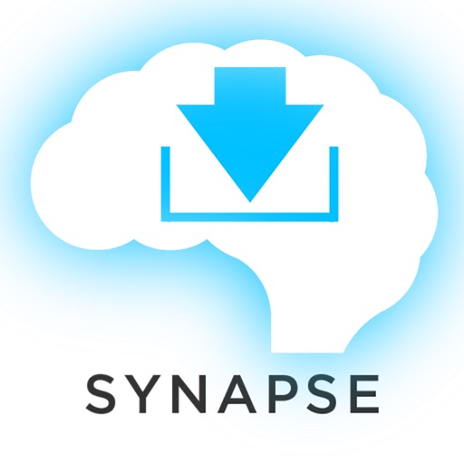 Biology Synapse Icon