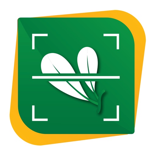 MGreen Scanner Icon