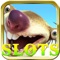 Civet Cartoon Poker - Fun Las Vegas Slot Machine