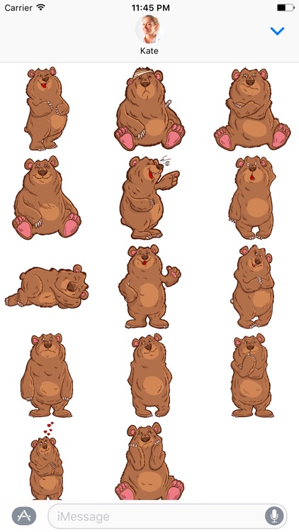 Big Bear - Stickers for iMessage screenshot-3