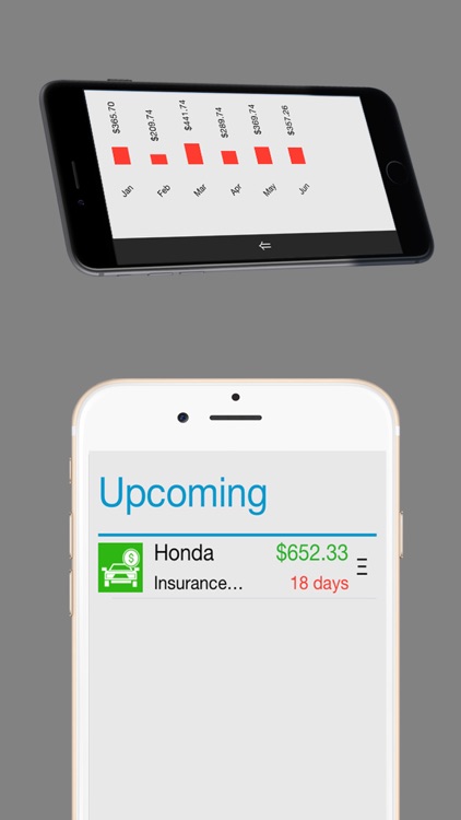 Home Budget Manager Lite screenshot-3