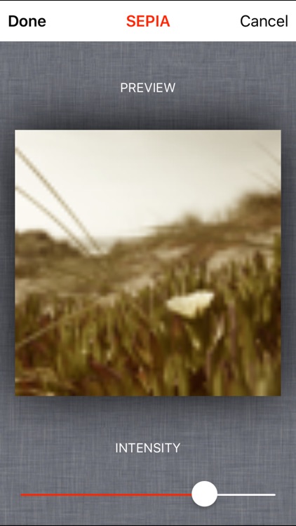 Camera with Filters screenshot-3