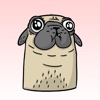 Pugly - Ugly Pugs