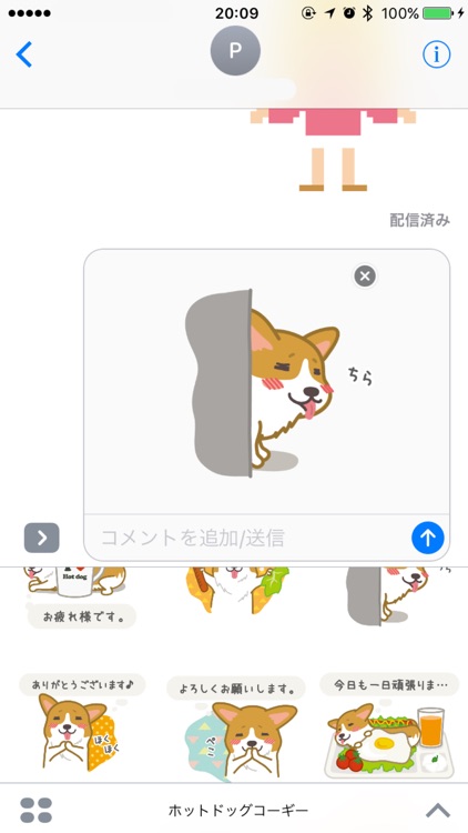 ホットドッグコーギー