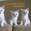 Hayvanlar ve Sesleri