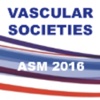 vsasm2016