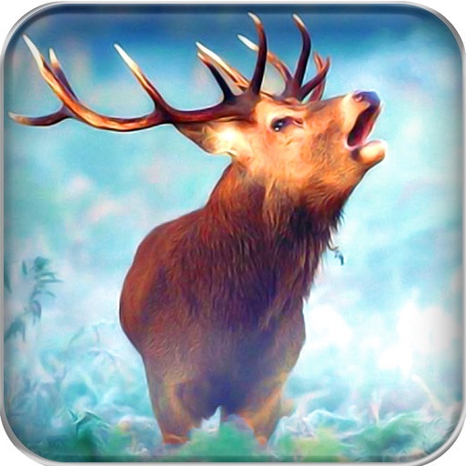 Deer Hunt : Snow World iOS App