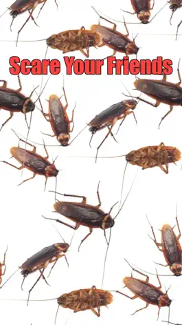 Game screenshot Roach Scare Prank mod apk